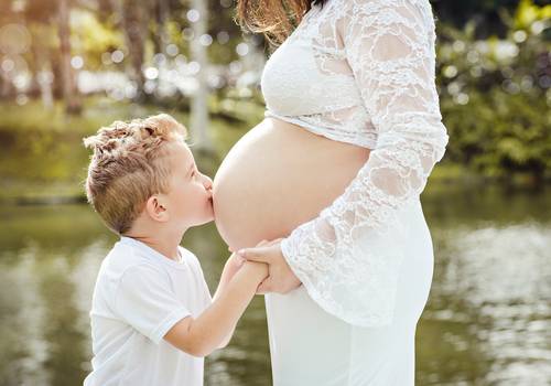 BOOK GESTANTE de BOOK Gestante a espera da Alicia 