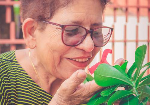 Ensaios de Ensaio da Dona Ana