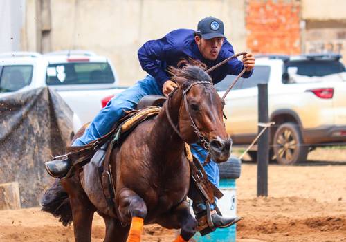 FOTOP de Prova dos 3 Tambores - KING HORSE - FOTOP