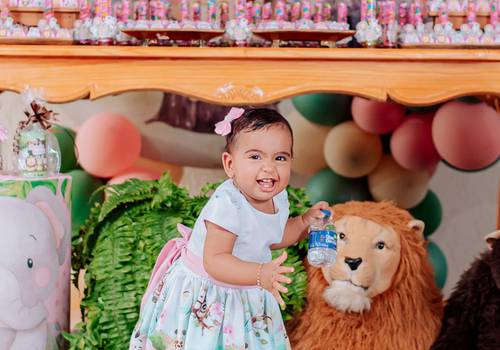 Infantis de Aniversário infantil Maria Luiza 1 aninho