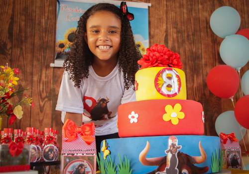 Aniversários de 8 anos da Luisa!