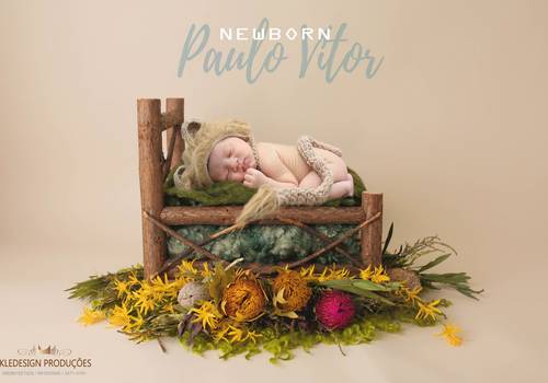 Newborn de Paulo Vitor
