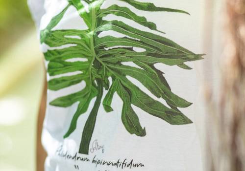 Comercial de Lookbook no Horto Botânico | Que Planta Legal 