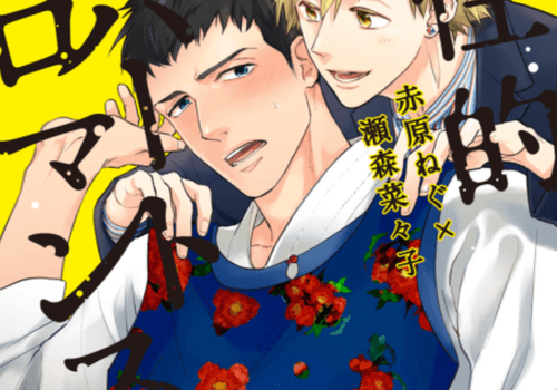 Yaoi de Risei Teki Pervert Romance