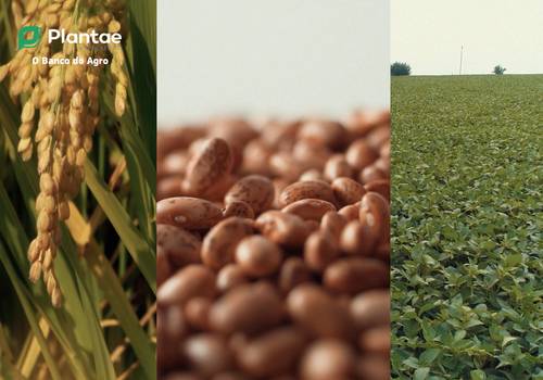 Institucional de Plantae Agrocrédito.