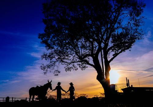 Ensaios de Maria Clara e João Paulo