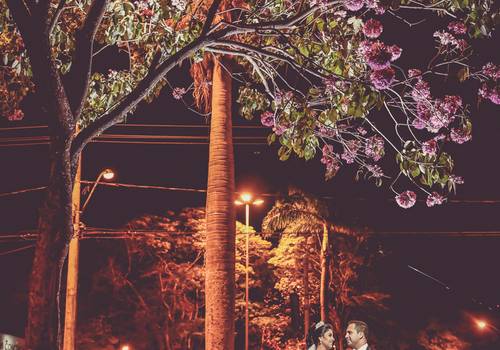 Casamentos de Sávia e Fábio