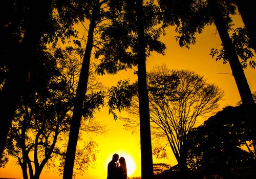 Casamentos de Aline e Hudson