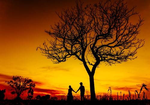 Ensaios de Fiama e Rafael