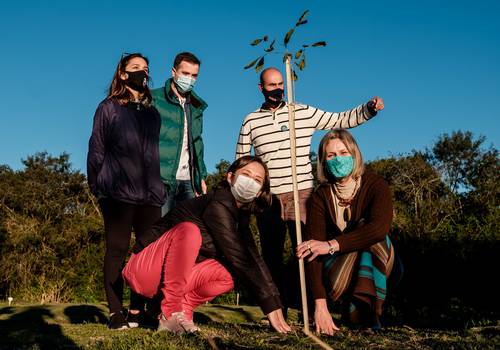 Ações de Projeto Ipê do Amor