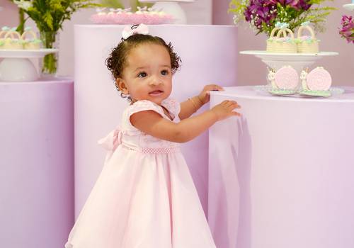 Aniversário infantil  de ANA LUISA 1 ANINHO 