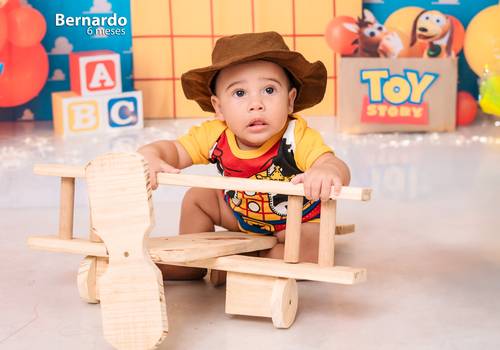 MESVERSÁRIO de TEMA: TOY STORY