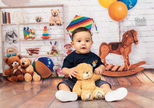 MESVERSÁRIO de TEMA: BRINQUEDOS