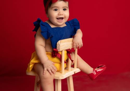 MESVERSÁRIO de TEMA: BRANCA DE NEVE