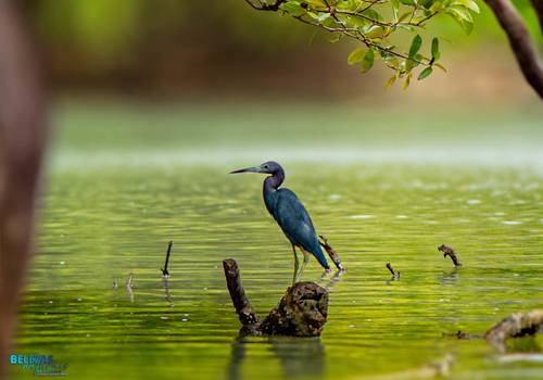 BELEZAS NATURAIS de TRILHA DAS CANOAS - GUAMARÉ/RN