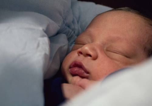 Bebês de Bernardo