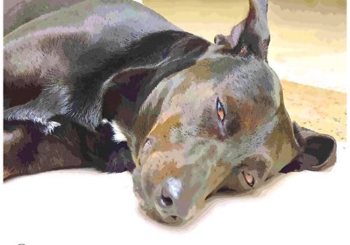 Ensaio Fotográfico de Hope