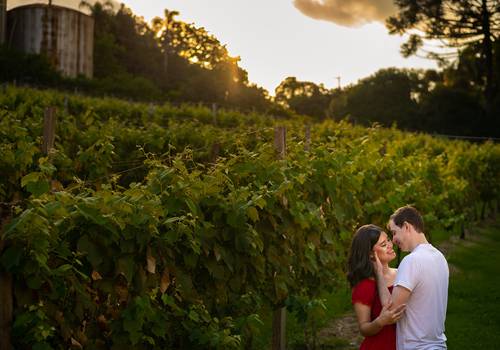 Ensaio pré casamento de Pré Casamento na Vinícola Peterlongo em Garibaldi