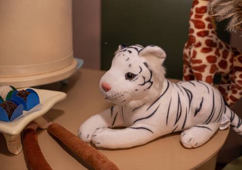 Aniversario Infantil  de Kevin Alberto 1 Ano