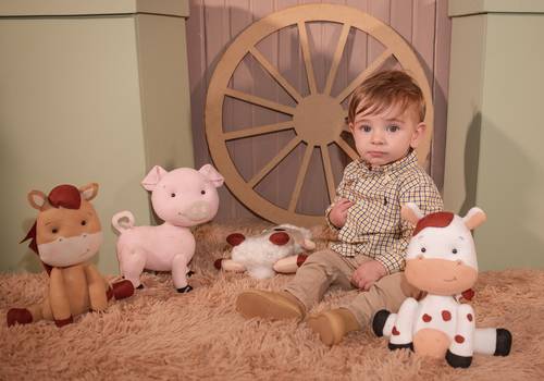 Aniversario Infantil  de Luis Guilherme 1 ano