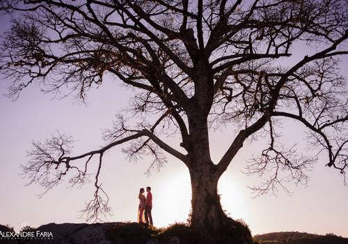 Ensaios de Juliana e Alexandre - Dia de Namoro
