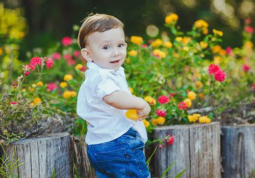 Smash the Cake de Vinícius