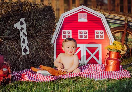 Smash the Cake de {José Felipe} 1º Aninho
