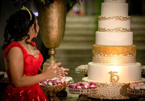 Debutantes de 15 Anos Vanessa 