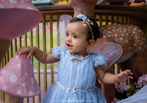 Aniversário de Ana Sophia 1 ano