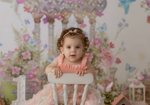 Acompanhamento de Liz - 12 meses