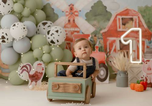 Infantil de Luiz Felipe - Ensaio Infantil 