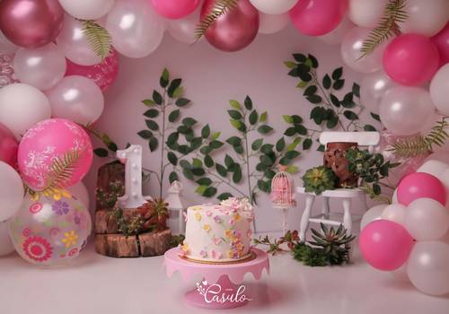 Smash the Cake de Ana Luisa - Smash the cake