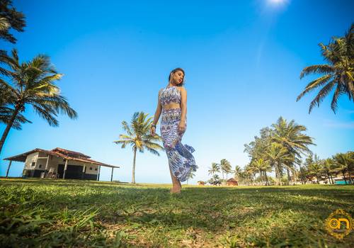 Book pessoal de Evellyn Bertoloto