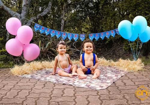 Infantil de Beatriz e Vitor - Smach the cake