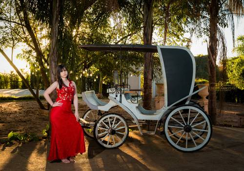 Debutante de Gaby 15 anos