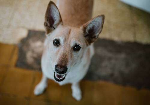 Bodas de Caro + Santi