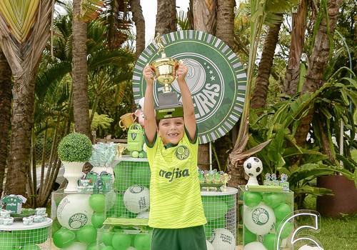 EVENTOS de ANIVERSÁRIO | ERICKNHO 6 ANOS