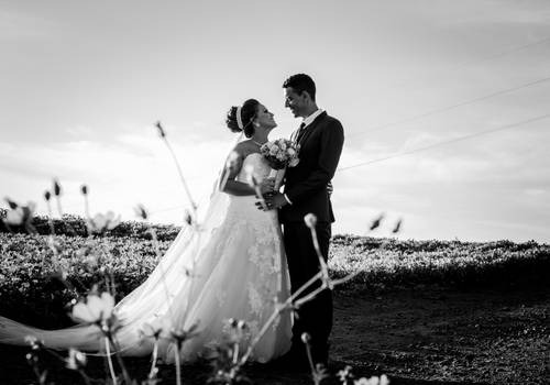 casamento de A R I E N E + J E F E R S O N
