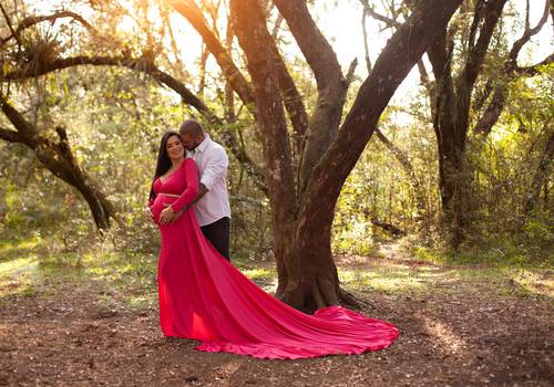 Gestante Externo de Alana & Alex - À espera por Mikaela