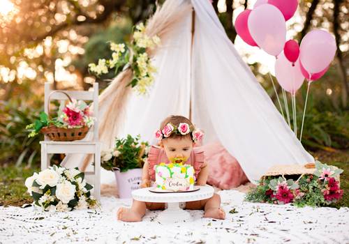 Família de Smash The Cake Cecília