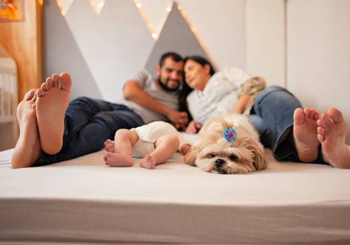 Família de Sara & Família -  Ensaio Steven