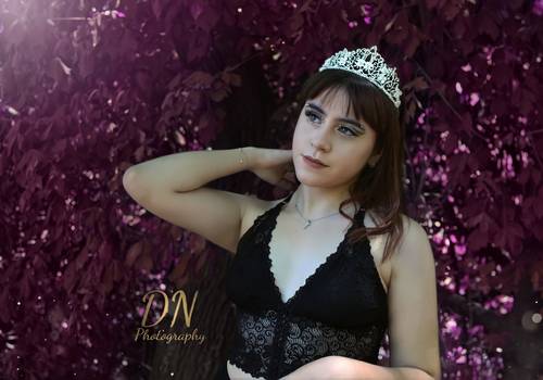 Quinceaños de Book de 15 años 