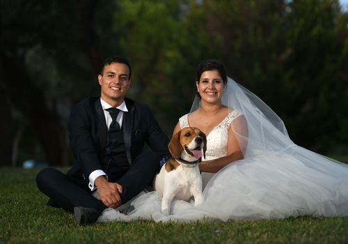 Casamento de Vanessa e Rui Pedro 