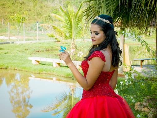 15 Anos de 15 Anos de Ana Luíza