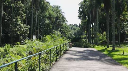 Ensaios de 15 anos de Ensaio Gustavo e Maria Clara
