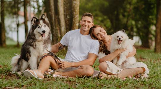 Ensaio Pet e Família de Ensaio Debora, Yago, Snow e Floquinho