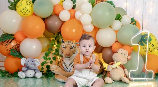 Smash the Cake de Safari