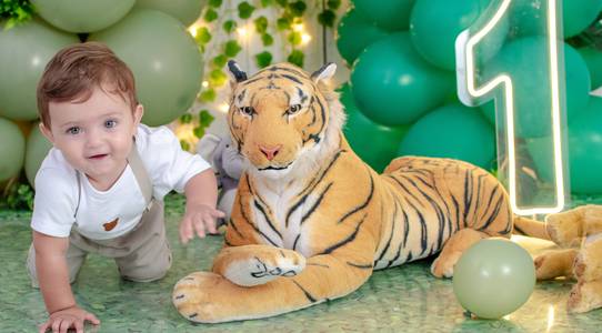 Smash the Cake de Safari