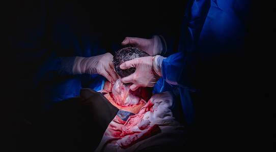 Documental de Nascimento Noah