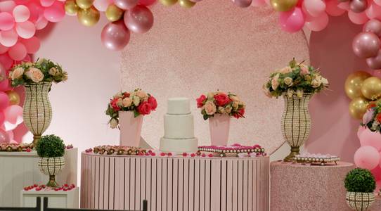 15 anos  de Carol - 15 anos 